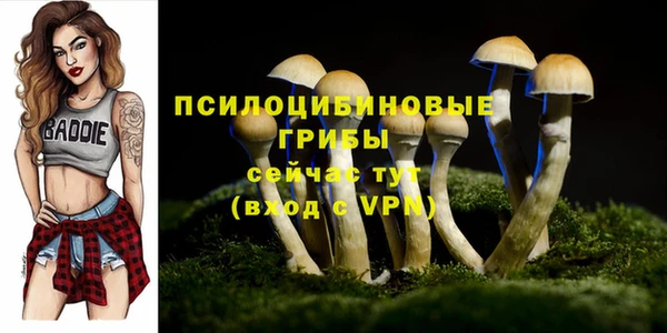 гидропоника Аркадак