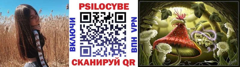 ОМГ ОМГ онион  Магадан  Галлюциногенные грибы Psilocybe  купить  