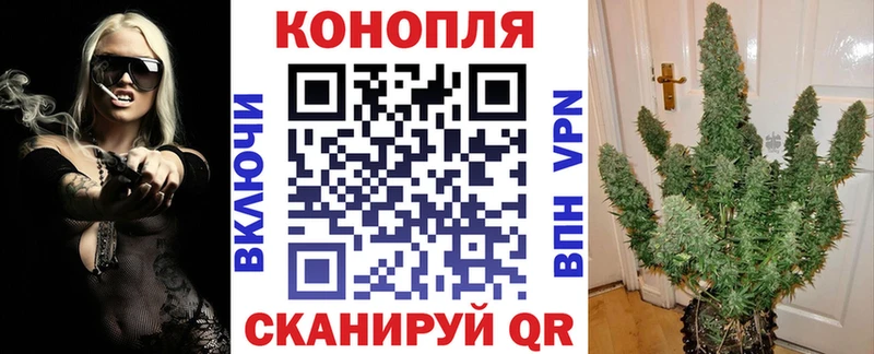 наркошоп Магадан Канабис гибрид